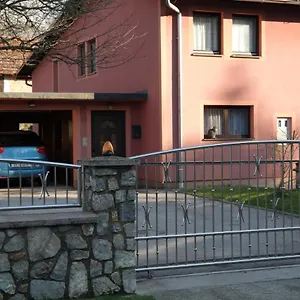 Gorski Cvijet Apartman Delnice